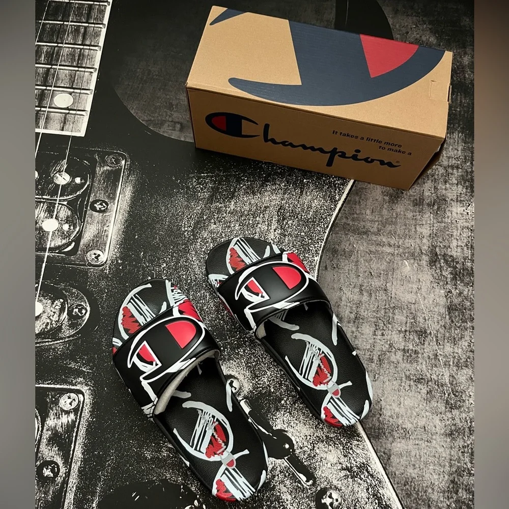 NIB Champion Slides